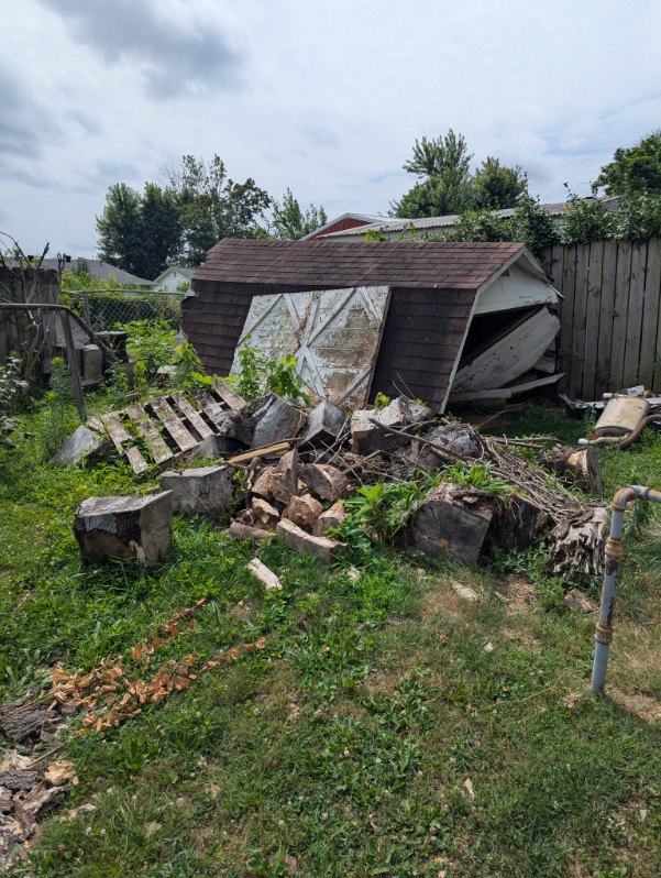 Shed demo before PhD Junk Removal cleared it